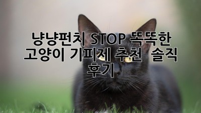 냥냥펀치 STOP! 똑똑한 고양이 기피제 추천 & 솔직 후기🐾
