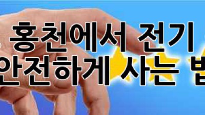 강원도 홍천에서 전기 중고차 안전하게 사는 법